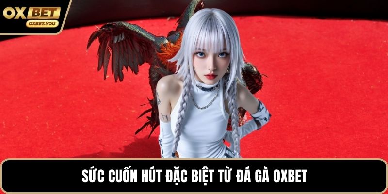 Sức cuốn hút đặc biệt từ đá gà Oxbet
